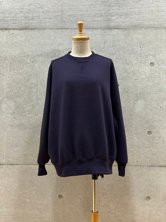 DAIWA PIER 39 / W's TECH SWEAT CREW FREEDOM SLEEVE / PURPLE / BE-51025WL