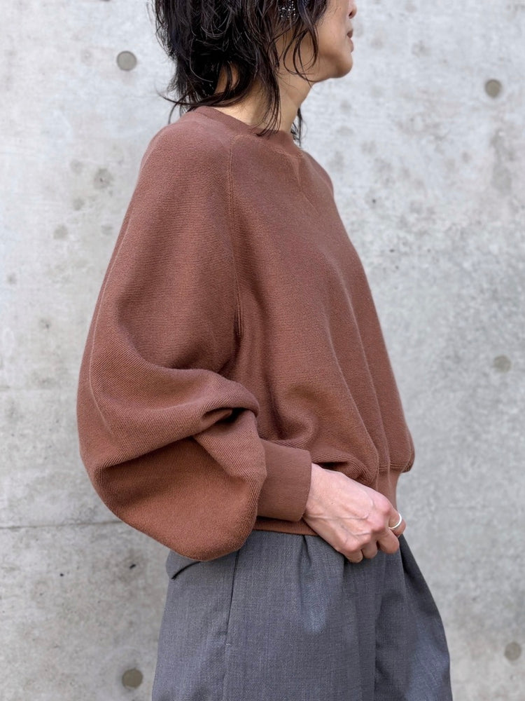 GALERIE VIE / コットンナイロンスエットニット クルーネックプルオーバー / BROWN / 23026102010
