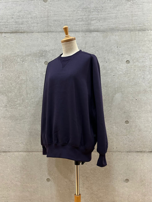 DAIWA PIER 39 / W's TECH SWEAT CREW FREEDOM SLEEVE / PURPLE / BE-51025WL