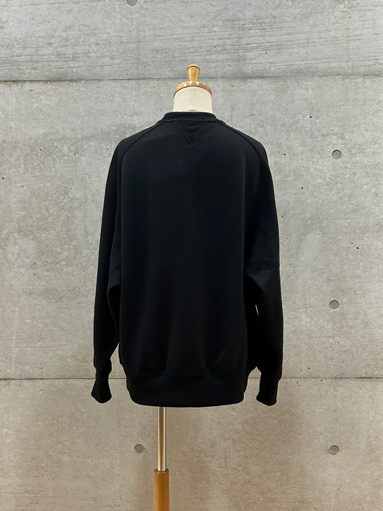 DAIWA PIER 39 / W's TECH SWEAT CREW FREEDOM SLEEVE / BLACK / BE-51025WL