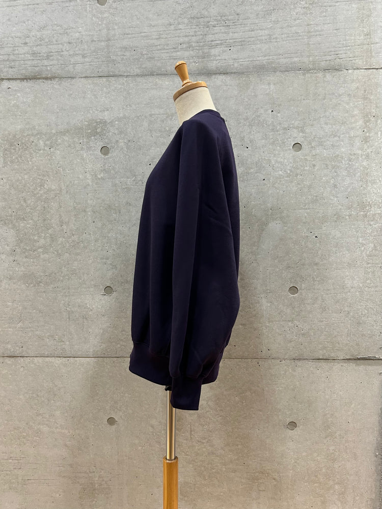 DAIWA PIER 39 / W's TECH SWEAT CREW FREEDOM SLEEVE / PURPLE / BE-51025WL