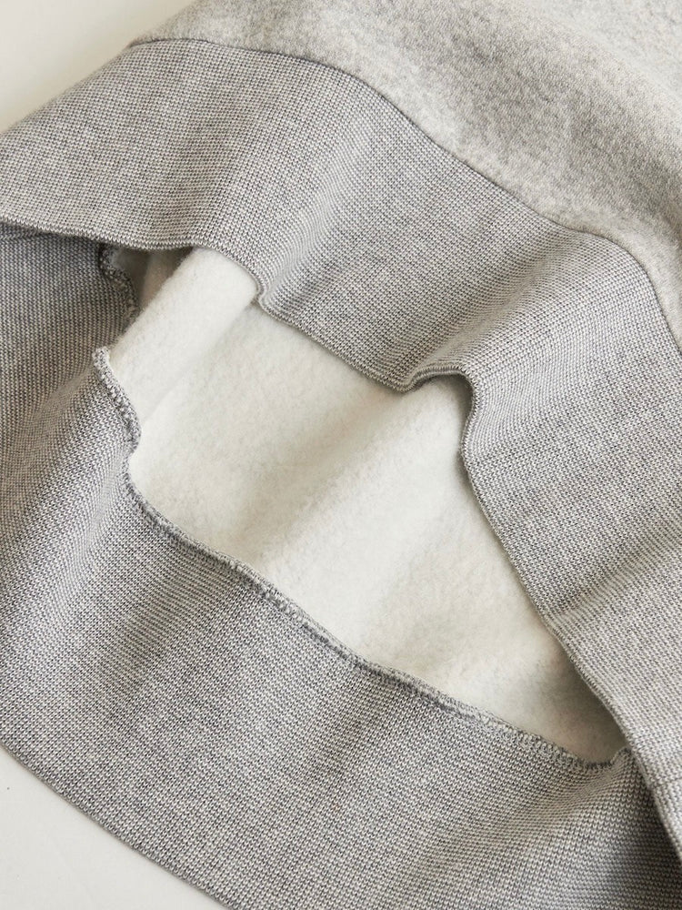 THE SHINZONE / COMMON SWEATSHIRT / GRAY / 22AMSCU01