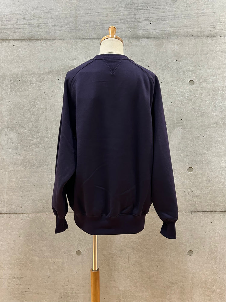 DAIWA PIER 39 / W's TECH SWEAT CREW FREEDOM SLEEVE / PURPLE / BE-51025WL