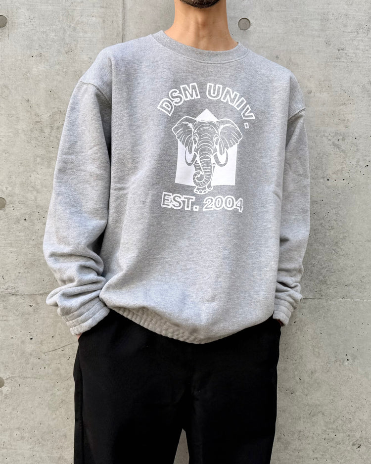 DSM kei ninomiya / DSM CrewNeck Sweat Shirt / Grey / DSM01T006