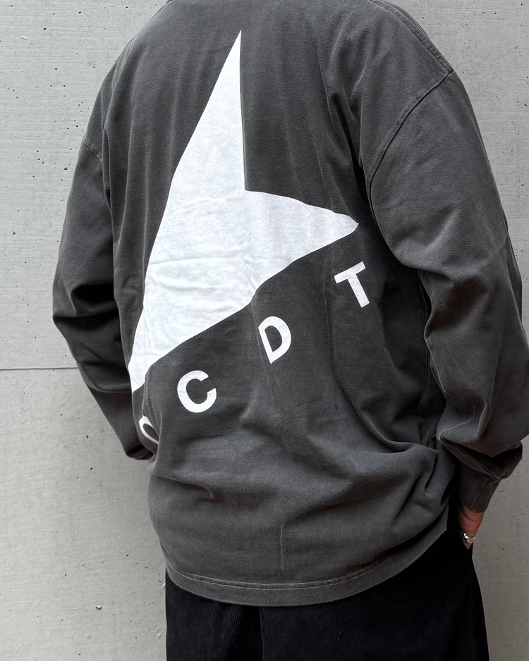 DESCENDANT / CETUS ORGANIC COTTON LS PIGMENT DYE / 252ATDS-CSM17 / BLACK