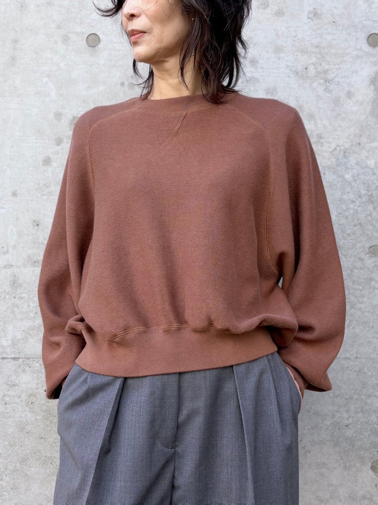 GALERIE VIE / コットンナイロンスエットニット クルーネックプルオーバー / BROWN / 23026102010