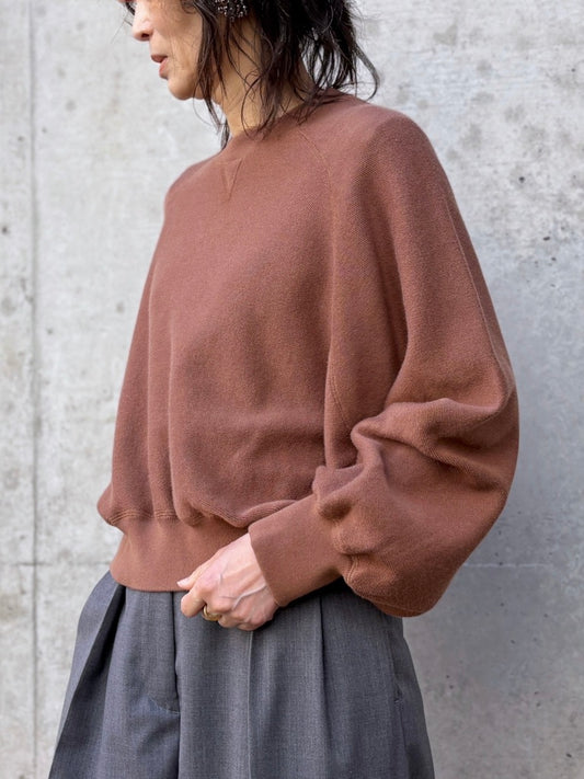 GALERIE VIE / コットンナイロンスエットニット クルーネックプルオーバー / BROWN / 23026102010