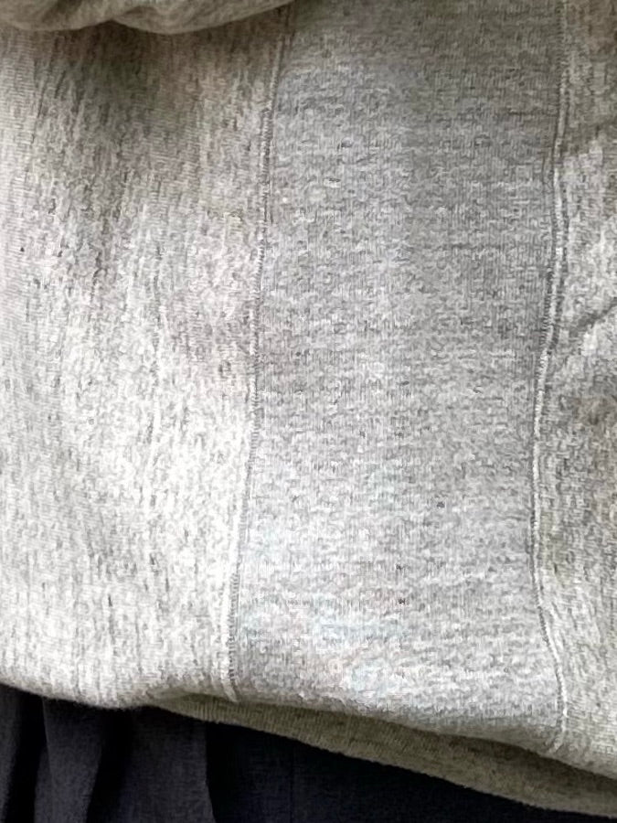 THE SHINZONE / COTTON PROJECT SWEATSHIRT / GRAY / 26SMSCU03